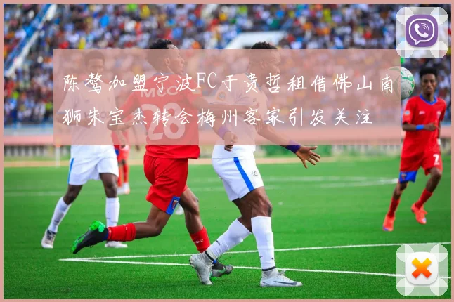 陈骜加盟宁波FC于贵哲租借佛山南狮朱宝杰转会梅州客家引发关注