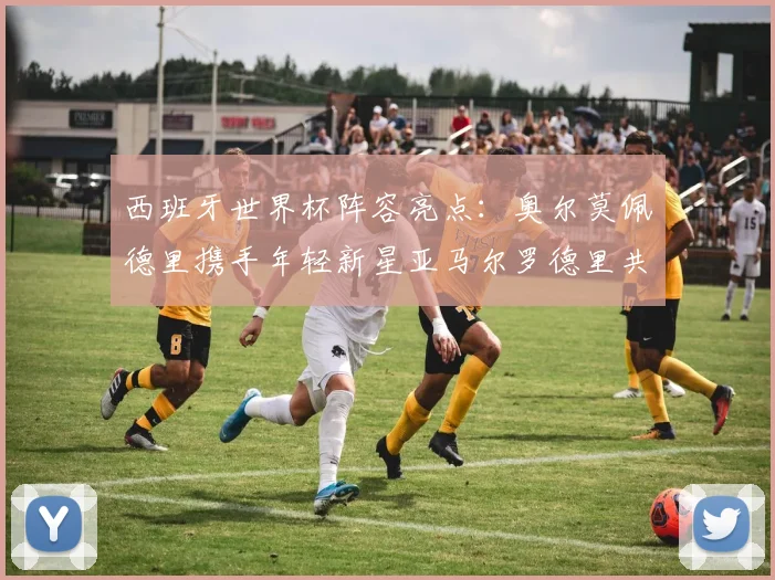 西班牙世界杯阵容亮点：奥尔莫佩德里携手年轻新星亚马尔罗德里共赴荣耀之战
